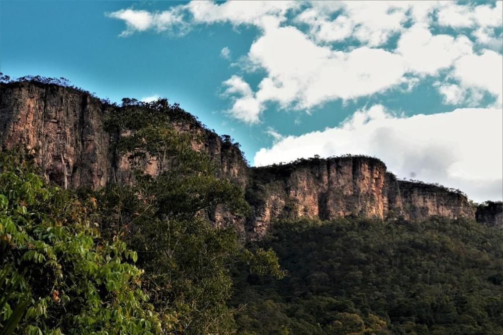 Mariri Jungle Lodge Алту-Параизу-ди-Гояс Экстерьер фото