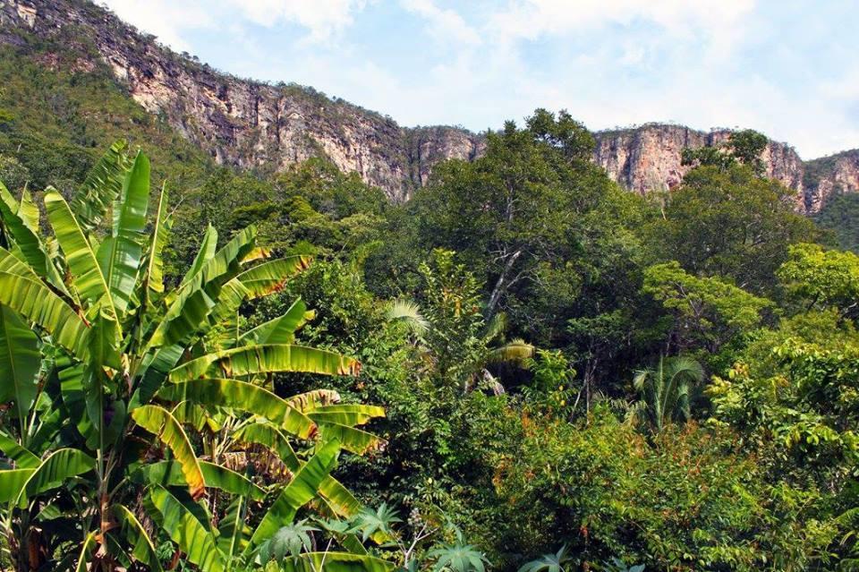 Mariri Jungle Lodge Алту-Параизу-ди-Гояс Экстерьер фото